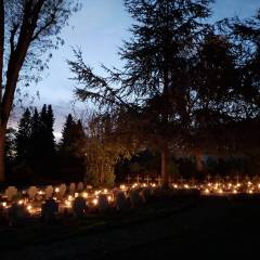 20251102_174210_original_copy_1