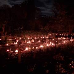 20251102_1931321_original_copy_1