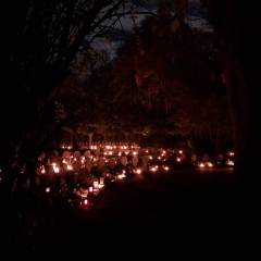 20251102_1935131_original_copy_1