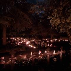 20251102_1933481_original