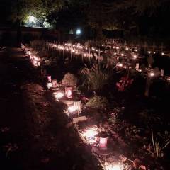 20251102_1934432_original