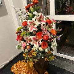 img-20251122-wa0008_original